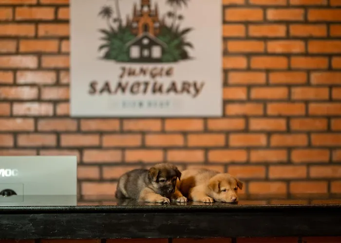 Jungle Sanctuary Hotel