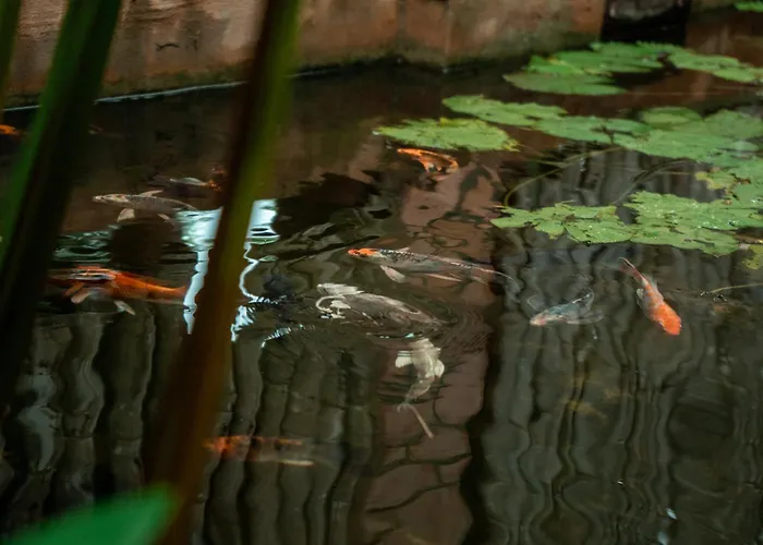Hotel Jungle Sanctuary